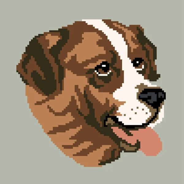 Vector Illustration Dog Pet Animal Senbernar — Stock Vector