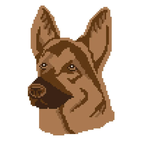 Векторна Ілюстрація Собаки Домашніх Тварин — стоковий вектор
