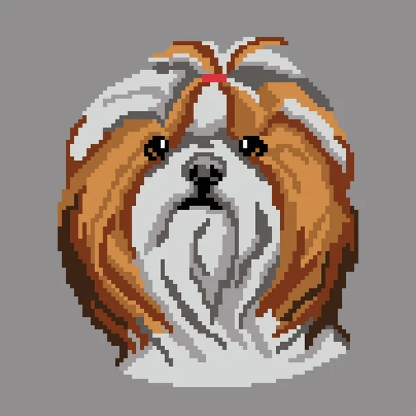 Vektorillustration Von Hund Haustier Shih Tzu — Stockvektor