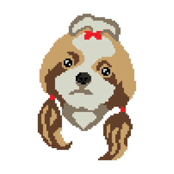 Vektor Illustration Hund Sällskapsdjur Shih Tzu — Stock vektor