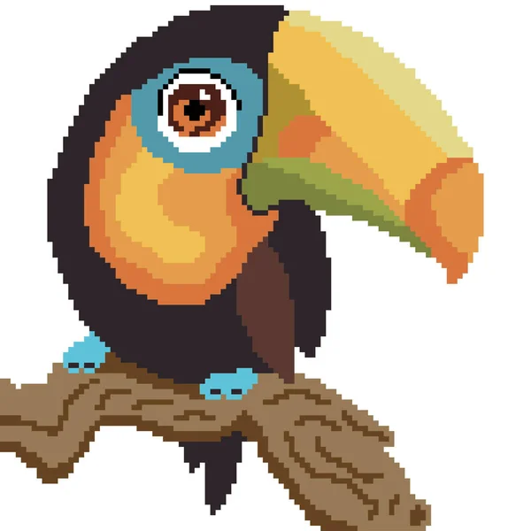 Toucan Fågel Vektor Illustration Bakgrund — Stock vektor