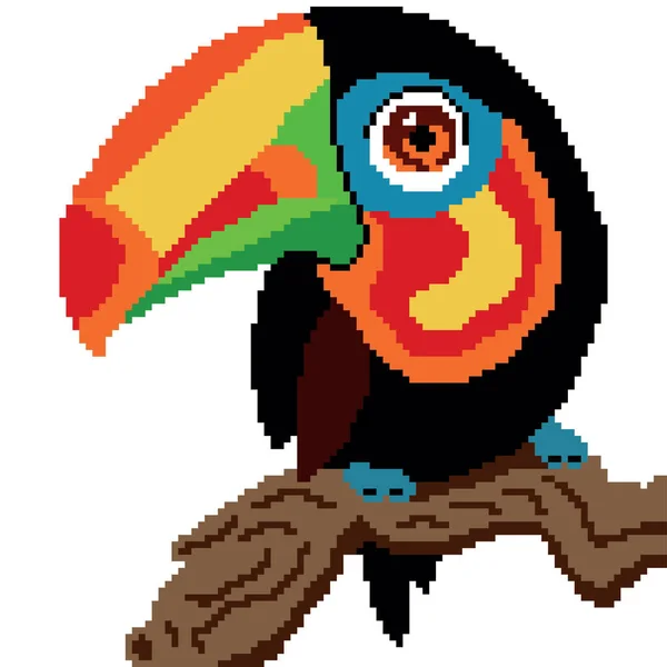 Toucan Pták Vektorové Ilustrace Pozadí — Stockový vektor