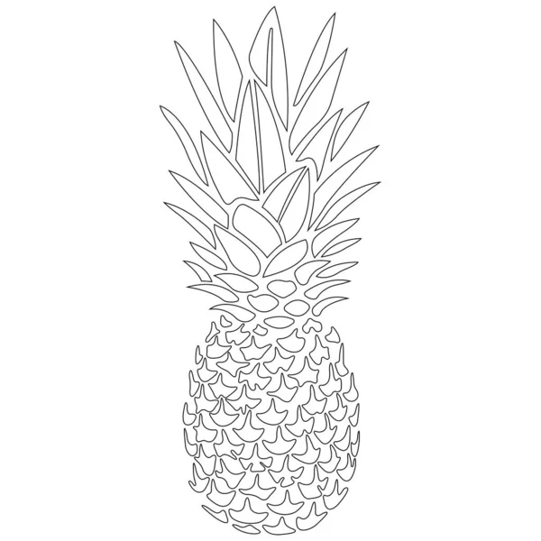 Pineapple Sketch Realistic Silhouette Design Greeting Cards Coloring Books Summer — Stock Vector