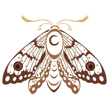 Farklı kahverengi çizgileri olan düz bir güve silueti. Dövme, böcek logosu, amblem, maskot, çıkartma, sembol, pankart, tişört veya giysi için uygun tasarım. İzole vektör illüstrasyonu