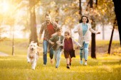směje se rodinný běh se psem na louku v parku s zapadajícího slunce za