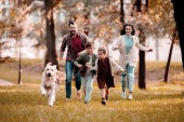 Lächelnde Familie mit Labrador läuft auf Wiese im Herbstpark 