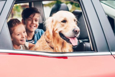 küçük çocuklar Labrador ile otomobil içinde oturan gülümseyen 