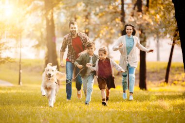 laughing family running with dog on meadow in park with setting sun behind clipart