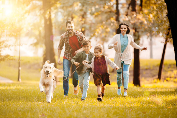 смеющаяся семья бегает с собакой на лугу в парке с заходом солнца позади
