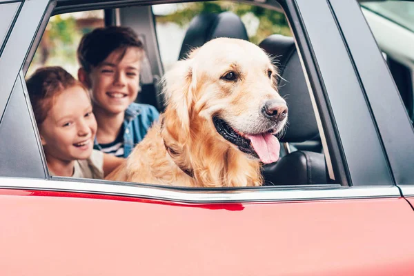 Smiling little children sitting with labrador in automobile — Stock Photo