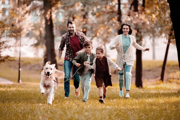 Familia sonriente con labrador corriendo en el prado en el parque de otoño - foto de stock