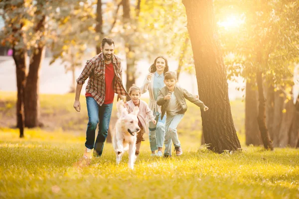 Vista frontal de la pareja sonriente y los niños corriendo con golden retriever en el parque — Stock Photo