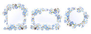 Romantic greeting card. Template for your design. Beautiful spring forget-me-nots flowers  clipart