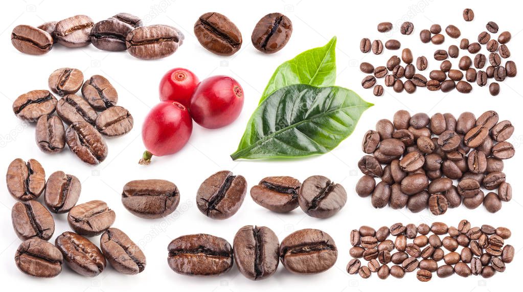 Collection of coffee beans isolated on white background