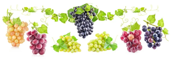 Collecties Van Rijpe Druiven Met Bladeren Geïsoleerd Wit — Stockfoto