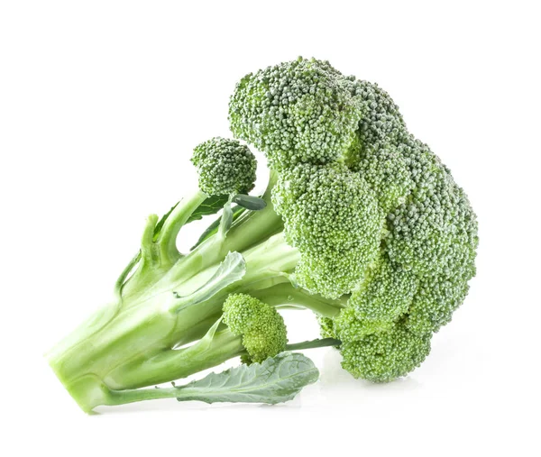 Brokoli Beyaz Arkaplanda Izole Edildi — Stok fotoğraf