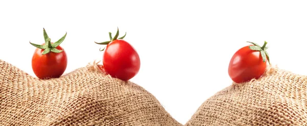Pomidory na płótnie torby — Zdjęcie stockowe