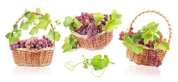 Grapes with leaves in wicker basket — Stock Photo, Image