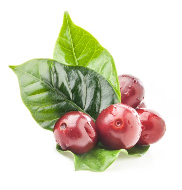 Kırmızılı kahve çekirdekleri kesme yolu olan beyaz arka planda izole edilmiş.