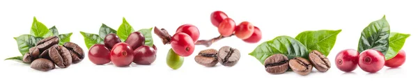 Collection of Red coffee beans isolated on white background — Stock Photo, Image
