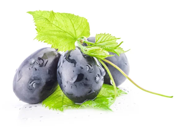 Ripe dark grapes Isolated on white background with clipping path — Stock Photo, Image