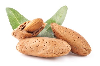 Beyaz arka plan üzerinde izole yaprakları ile Badem fındık