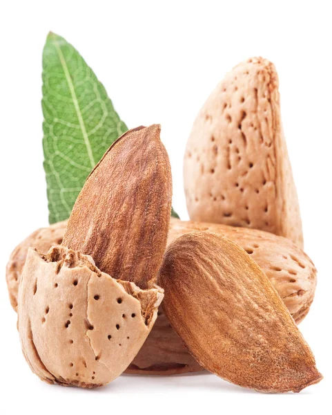 Mandel nötter med blad isolerade på vit bakgrund — Stockfoto
