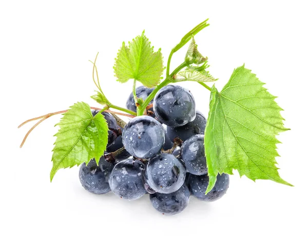 Ripe dark grapes with leaves, Isolated on white background — Stock Photo, Image