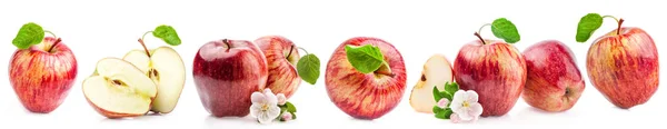 Červená jablka s květinami — Stock fotografie