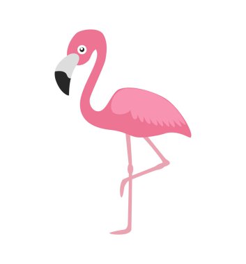 Vektör illüstrasyon pembe flamingo beyaz arka plan üzerinde izole 