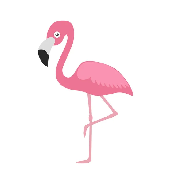 Vector Illustration Pink Flamingo Isolated White Background — Stock Vector