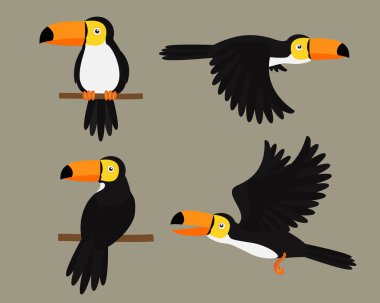 Toucans kuş karakteri çizgi film seti - Vektör illüstrasyon