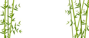 Yeşil bambu şablon arkaplanının vektör çizimi 