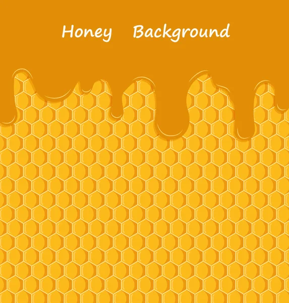 Vektor Honig Tropfen Auf Waben Hintergrund — Stockvektor