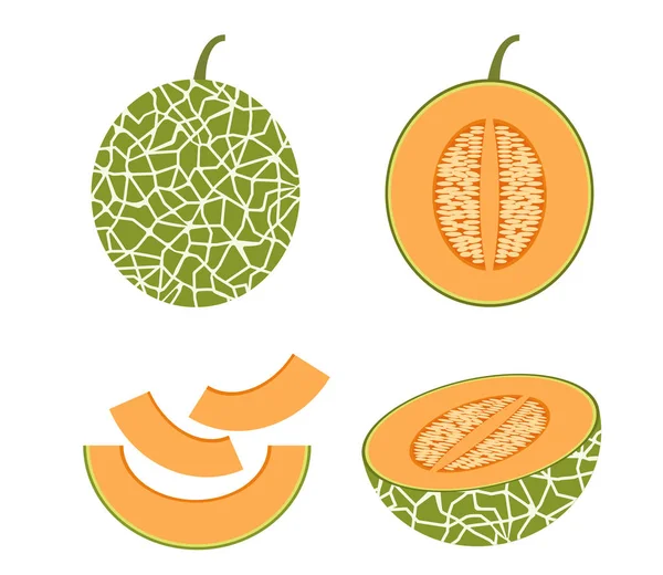 Vector Illustratie Van Set Verse Cantaloupe Meloen Geïsoleerd Witte Achtergrond — Stockvector