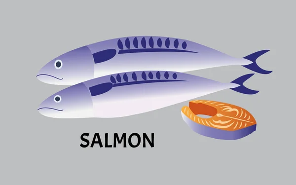 vector illustration of salmon fish isolated on background