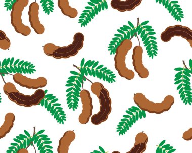 Seamless pattern of tamarind fruit isolated on white background - Vector illustration clipart