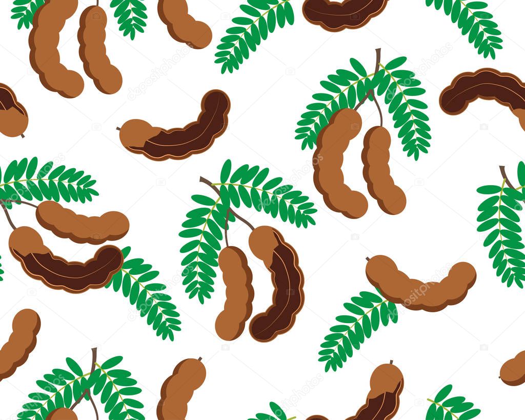Seamless pattern of tamarind fruit isolated on white background - Vector illustration
