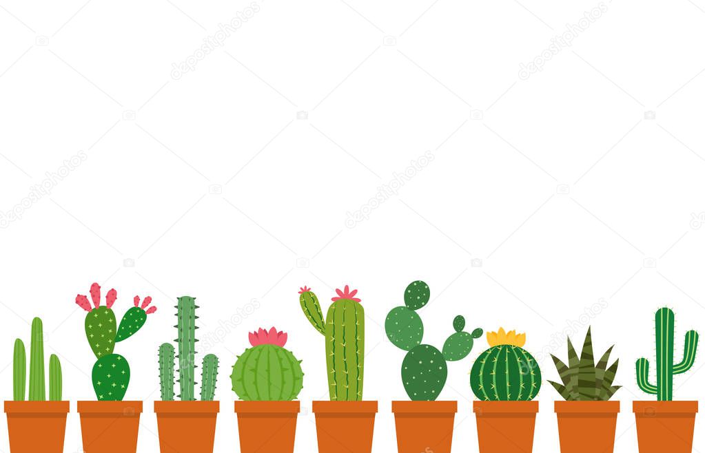 Small cactus pot vector set isolated on white background