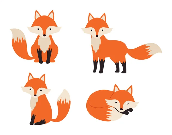 Cute Fox Cartoon Set Isolated White Background Vector Illustration — Stock Vector