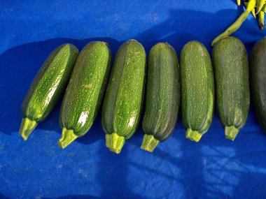 Sokak pazarı rafında Taze kabak