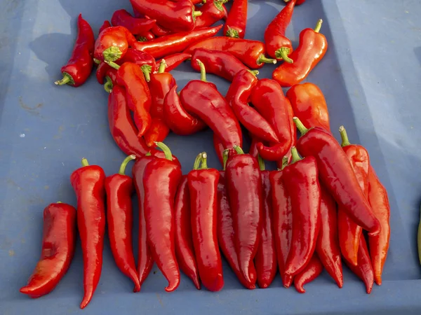 Fresh red pepper vegetables on the street market — Stock Photo, Image
