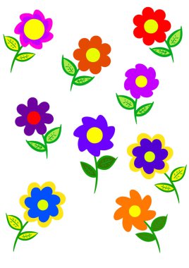 beyaz arka plan izole renkli çiçekler