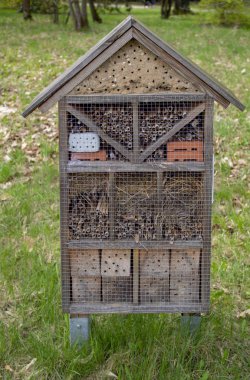 parka dış arı kovanı