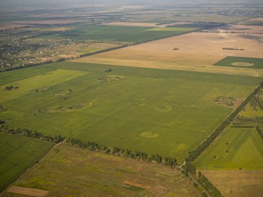 Gıda endüstrisi için bitki yetiştirme hava tarım alanları