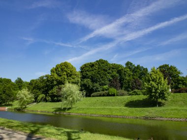 Yaz günü güzel güneşli park manzarası