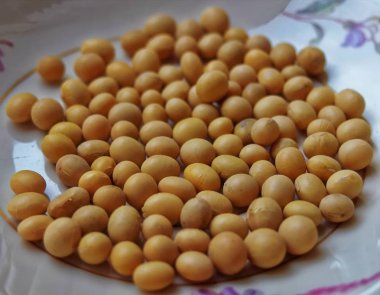 tabakta kuru soya fasulyesi