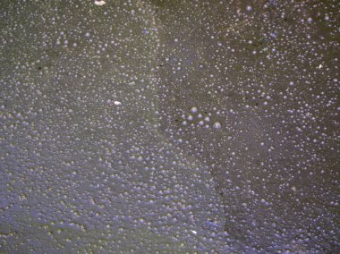 bataklık yüzeyinde kabarcıklar