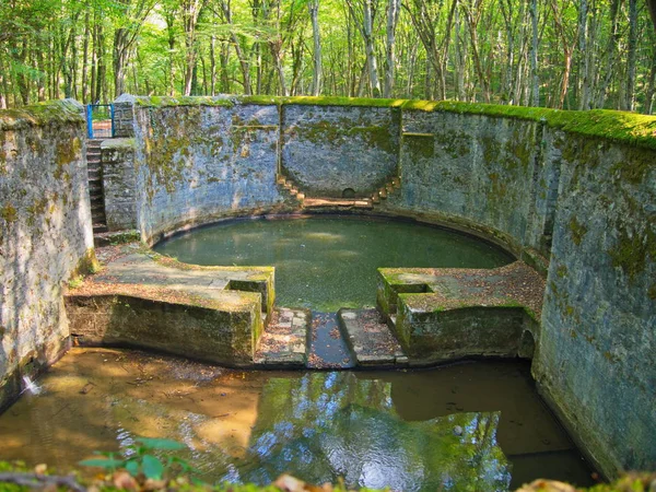 Old water reservoir in forest between trees