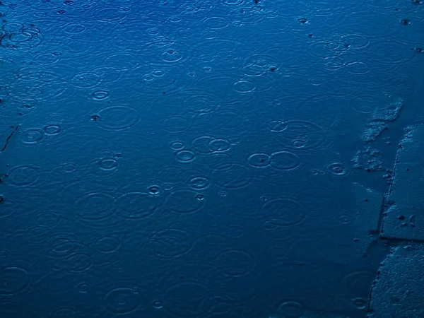 Yağmurlu gün küçük gölet üzerinde jumpin düşer — Stok fotoğraf